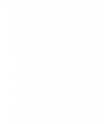 Turbo 454067-0002 NEUF